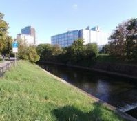 3min. from home is river Svratka and bicycle road