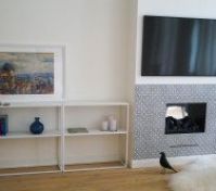 Fireplace and smart TV