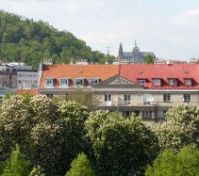 View from the terrace and kitchen window