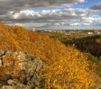 Divoká Šárka Natural Park