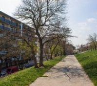 Park Vítkov beside the building, ideal for running in the morning