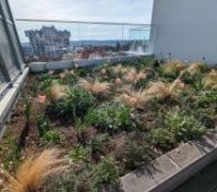 Garden on the second balcony