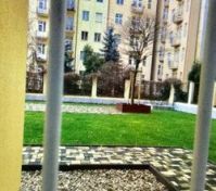 Spolecmy dvur