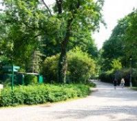 park in front of the house