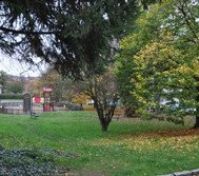 Park před domem
