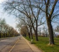 Park Vítkov beside the building, ideal for running in the morning